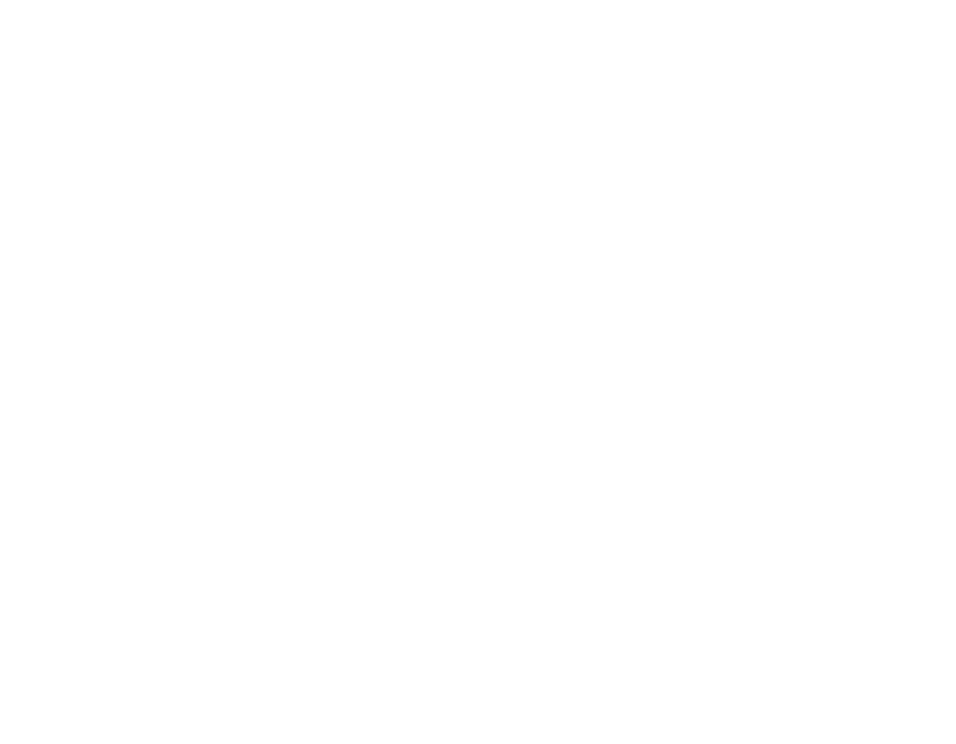 Ada X